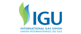 Logo - IGU 2x